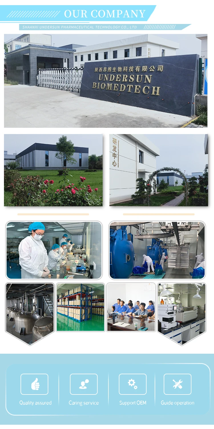 Vegan Plant Organic Extract Powder 80% soluble hydrolyzed wheat protein flour isolate concentrate