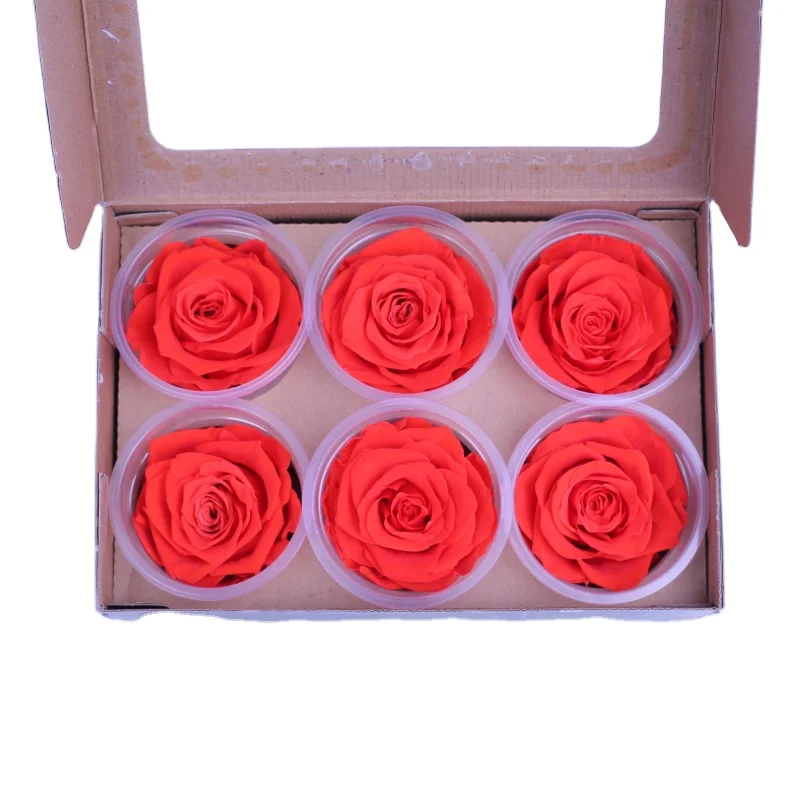 
6-7 cm A Grade Factory Wholesale Forever Long Lasting Preserved Rose For Wedding 