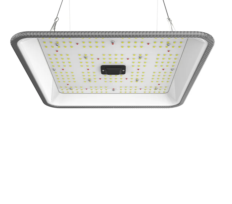 CTLite 60w 2.7 umol/J Sosen LED Driver High Quality  LED Grow Light for Vertical and Hydroponic Planting