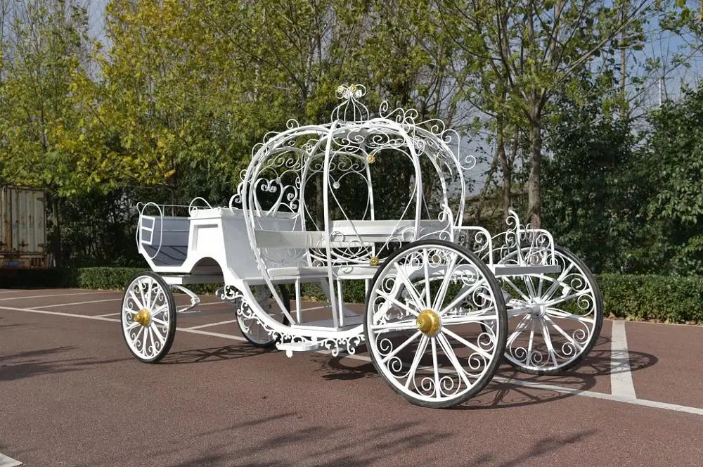 
pony drawn carriage buggy cinderella pumpkin coach 