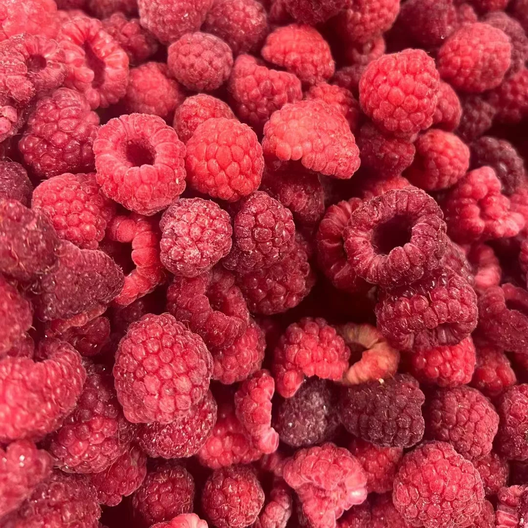 New Crop Brc Certificate IQF Frozen Whole Red Raspberry in Season 10kg