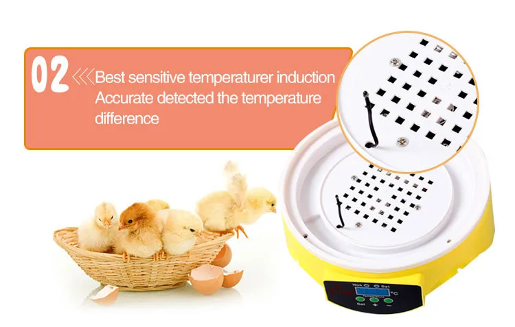 HHD 7 Eggs Children Educational Tools for Home Use or Retail