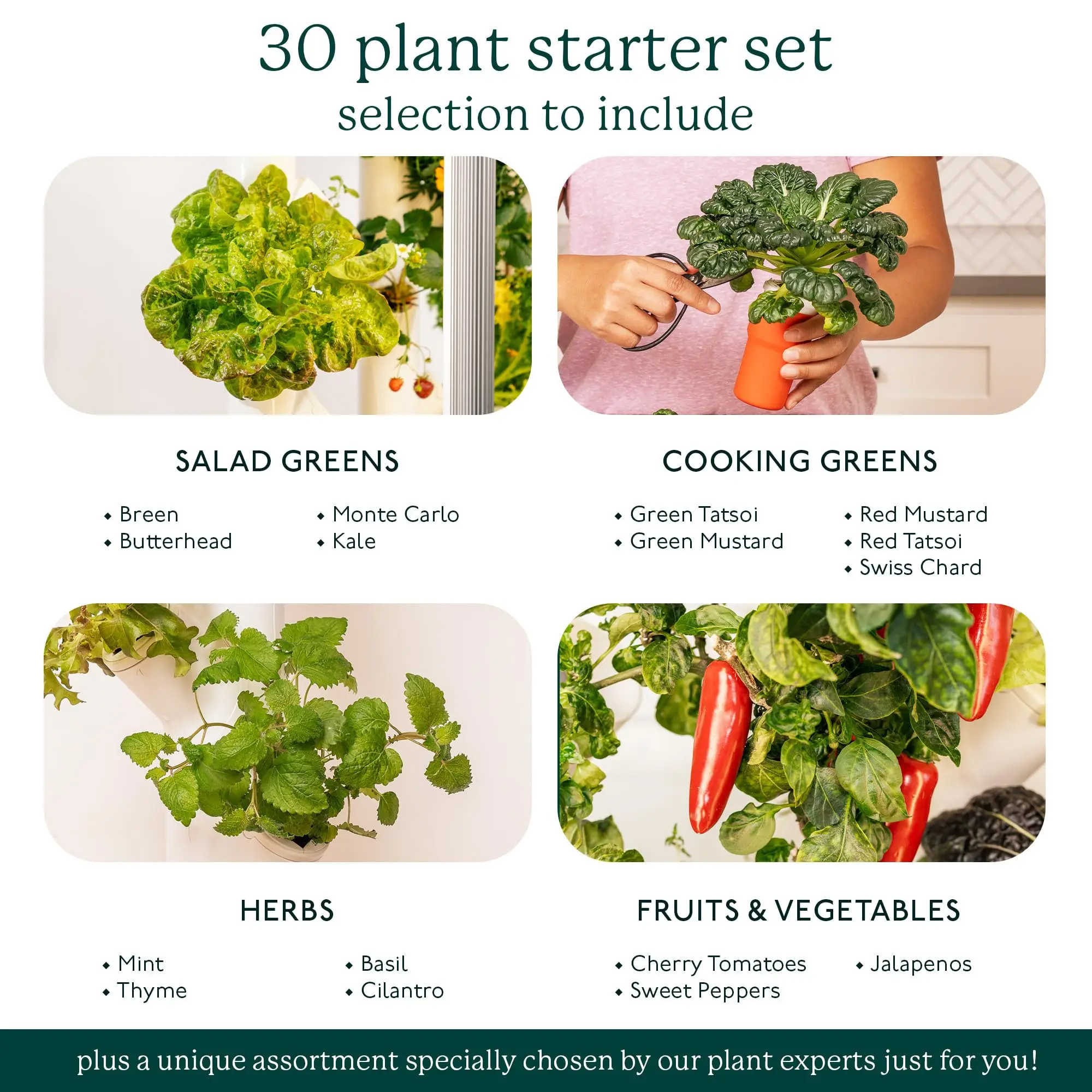 Factory Price Gardyn Vertical Garden Planter LED Lamp Indoor Desktop Gardening System for Home Decor for Outdoor Application