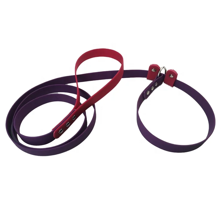 Multi-Use Soft PVC Coated Webbing Dog Slip Leash Double Color Fancy Design Collar and Lead in One Solid Pattern Personalized