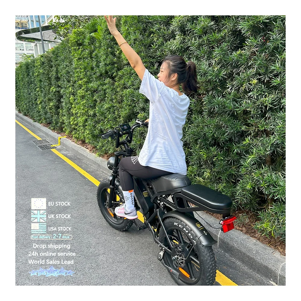 fat bike V20 NL warehouse 20x4.0  wheel 250w motor 36v 11.6ah e bike mountain bike cheap off road