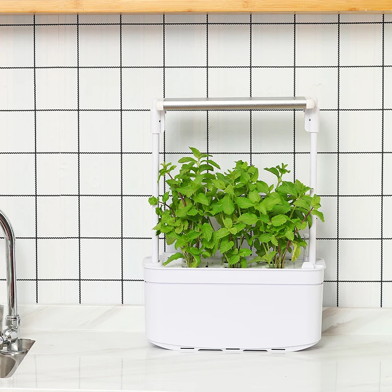 Shenzhen Creative Led light indoor mini smart garden for plants hydroponic smart garden flower planter home garden flower 6 pots