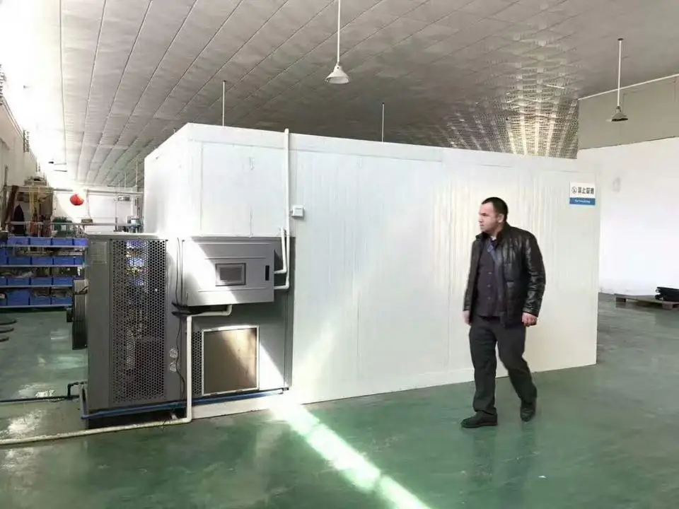 Electric Food Coconut Copra Dryer Drying Oven Machine Fruit Vegetable PLC Heat Pump Dehydrator with Tray