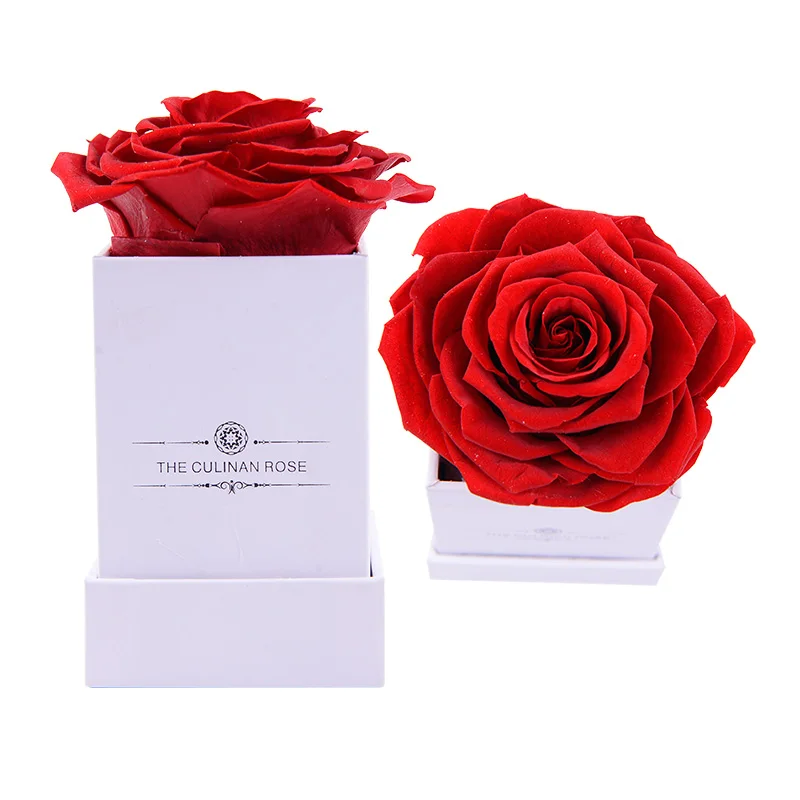 Wholesale look gorgeous forever single rose eternal flower roses natural preserved rose in  box flower