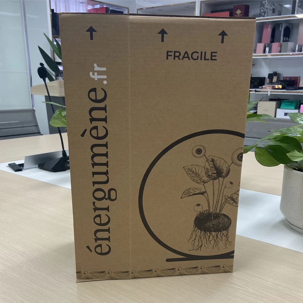 Wholesale Custom Made Tuck up Corrugated Farm Potted Flower Mint Small Pots Plant Packaging Shipping Box