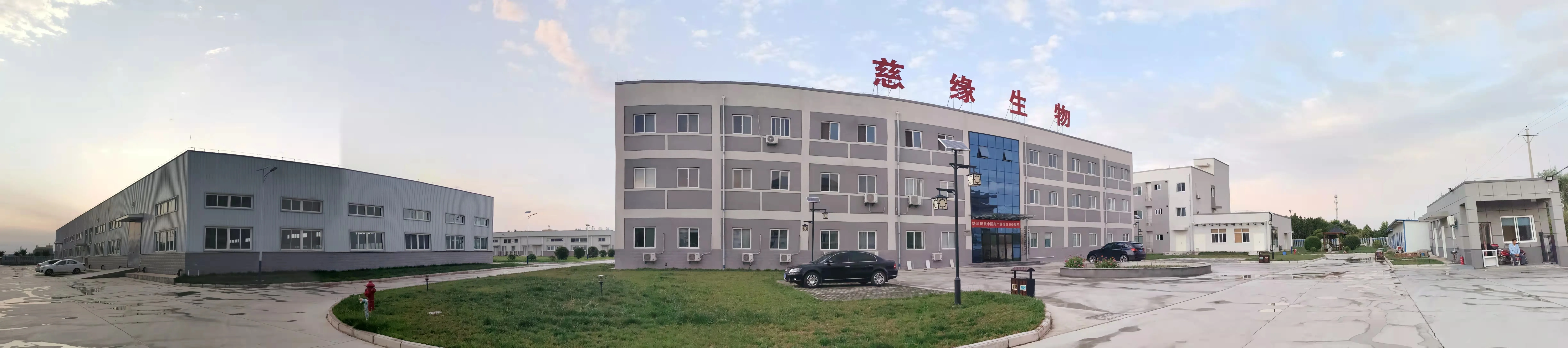 Bulk Price OEM packing Lotus Seed Extract Powder lotus seed extract