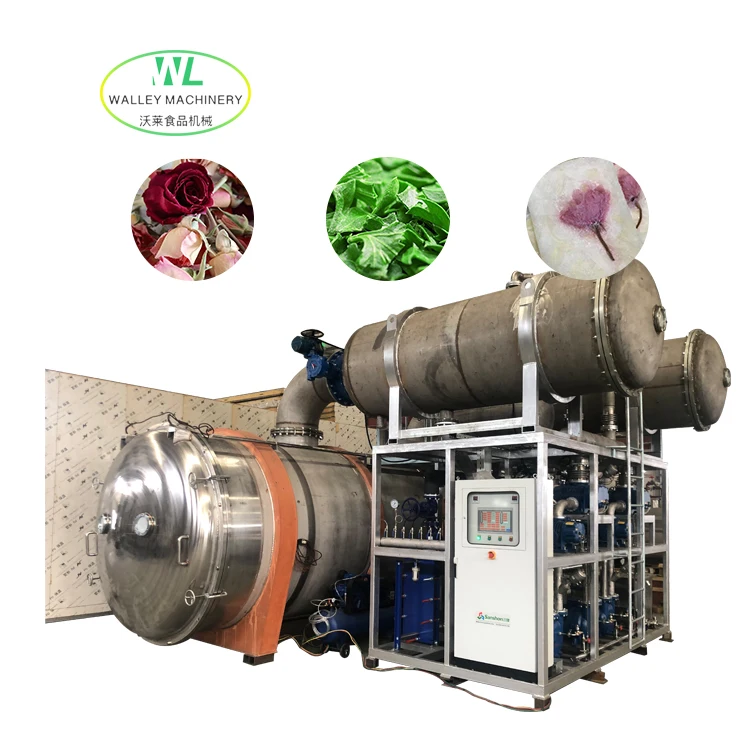 Hot Sale Large Scale Industrial Vacuum Freeze Dryer for Sweet Corn Food Lyophilizer Strawberry Freeze Drying Equipment