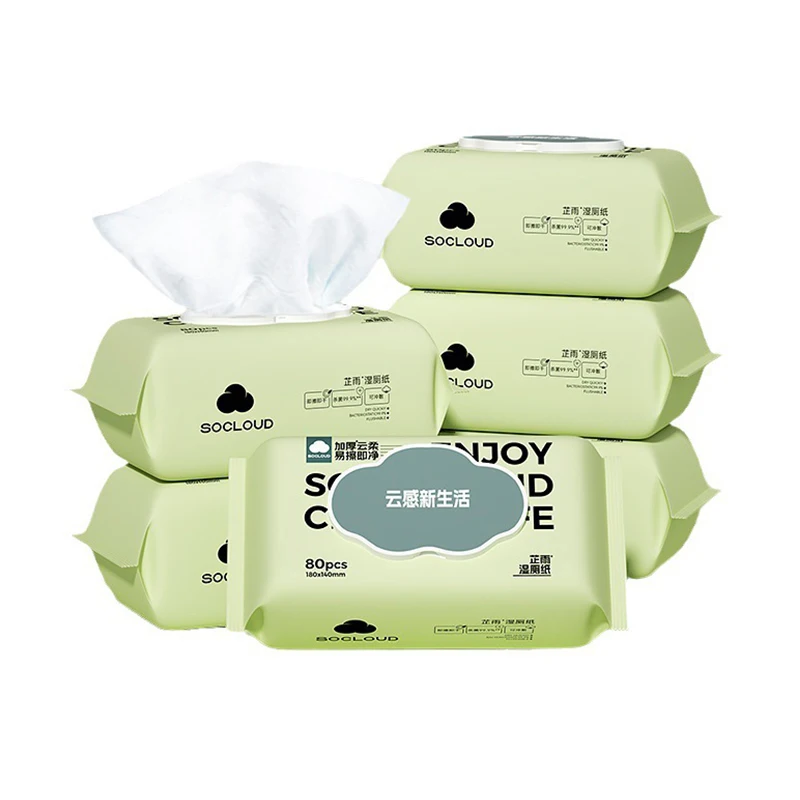 Free Sample High Quality Toilet Wipes Custom Wholesale Antibacterial Soft Touch Skin-Friendly Refreshing Flushable Travel Wipes