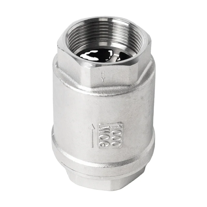 Stainless Steel Vertical Check Valve DN10 to dn80 Screw End Water Pump Check Valve Spring