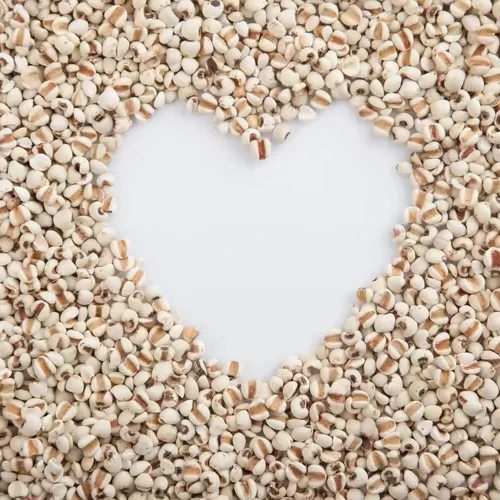 Specializing in the production of high-quality green additive-free Coix Seeds