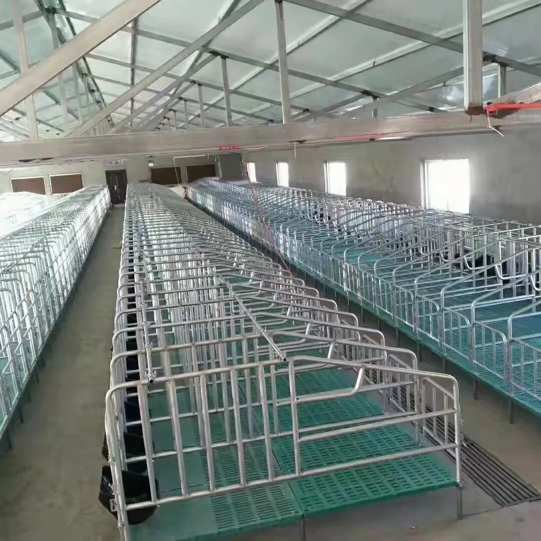 Pig farm equipment farrowing crate gestation pen steel feed trough for swine sow feeder