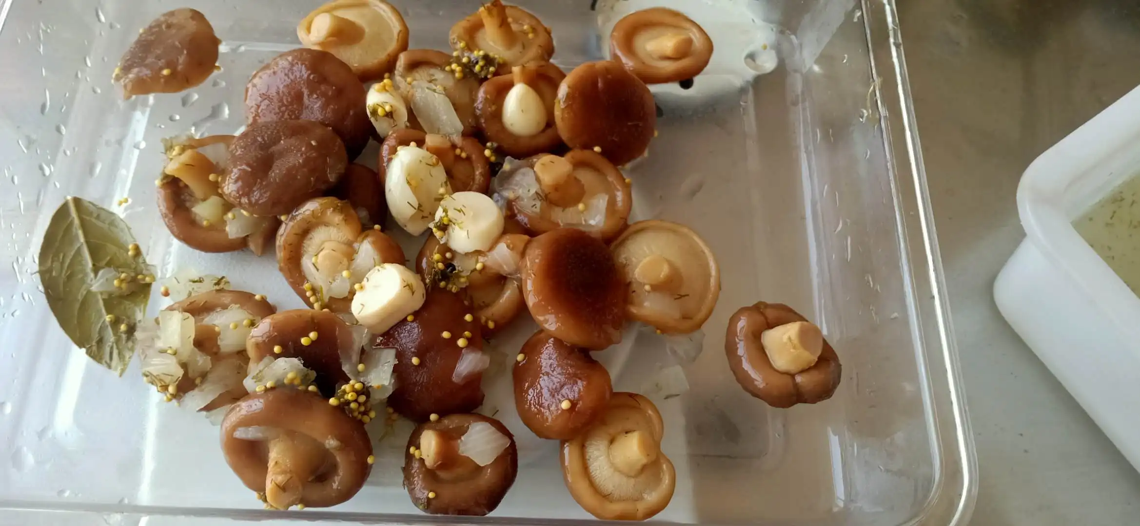  Shiitake маринованный 425 мл/850 мл в жестяных грибах 3 кг рассоле 314 соленый шишаке чеснок 580 г 550 370 стеклянной банке без