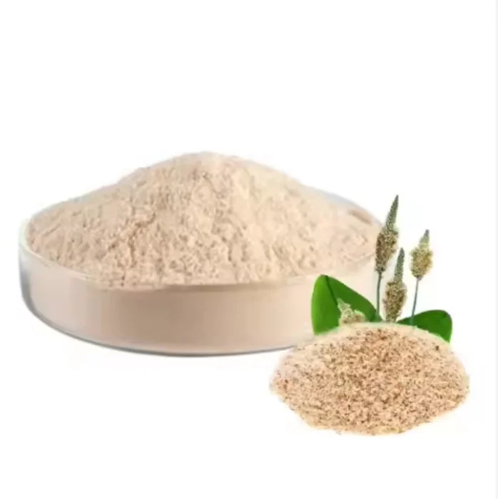 Wholesale Bulk Psyllium Husk Extract 100% Natural Food Grade Organic Psyllium Husk Powder