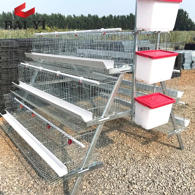 chicken coop for uae chicken farm in malaysia  saudi arabia