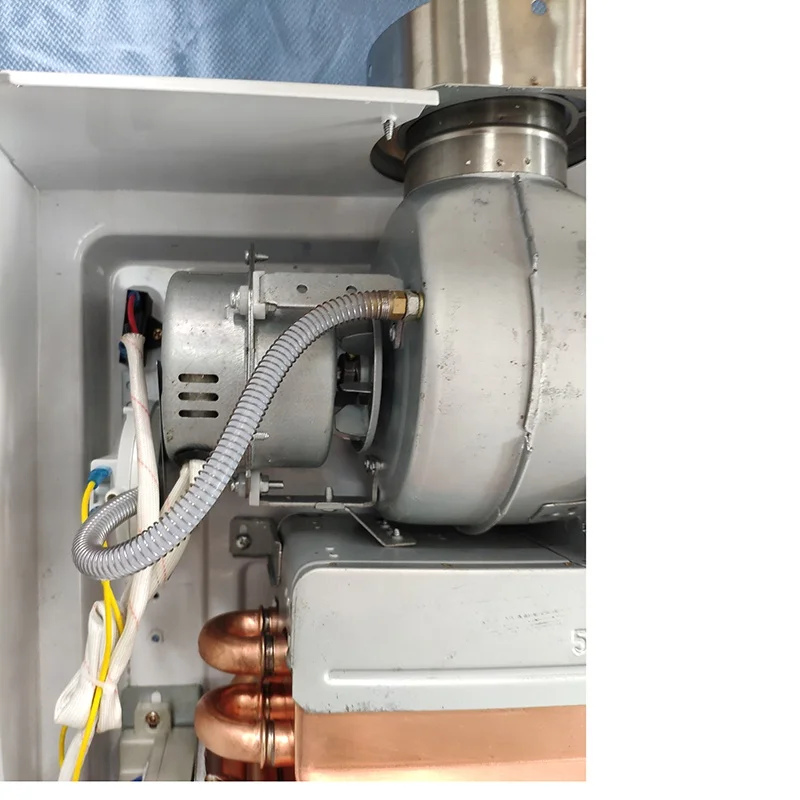 Professional manufacturer supply indoor tankless gas water heater