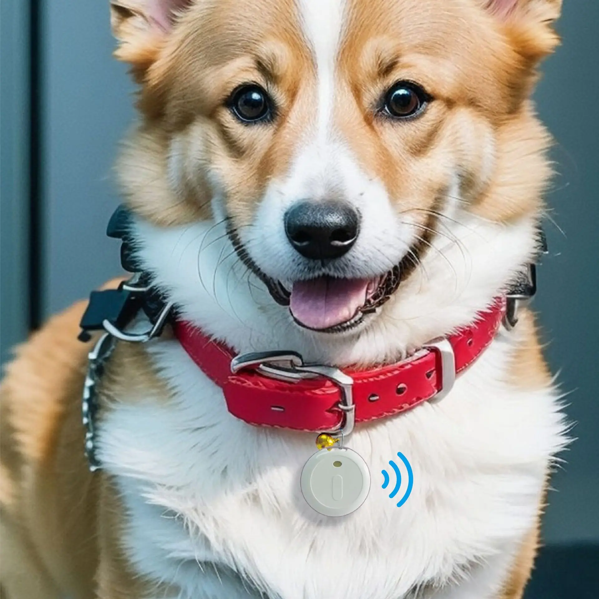 TK905 Магнитный GPS трекер 2G 4G с длительным аккумулятором в режиме ожидания сильным магнитным беспроводным трекером