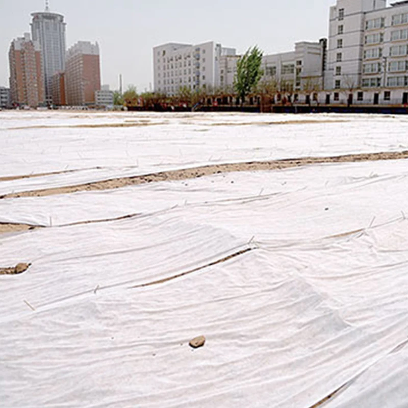 Высокое качество Популярные иглы удар нетканые Geotextile