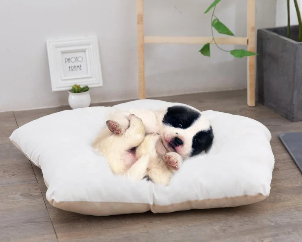 Pet Cat Dog Rabbit Teepee with Cushion,Portable Puppy Small Animals Bed Teepee Tent