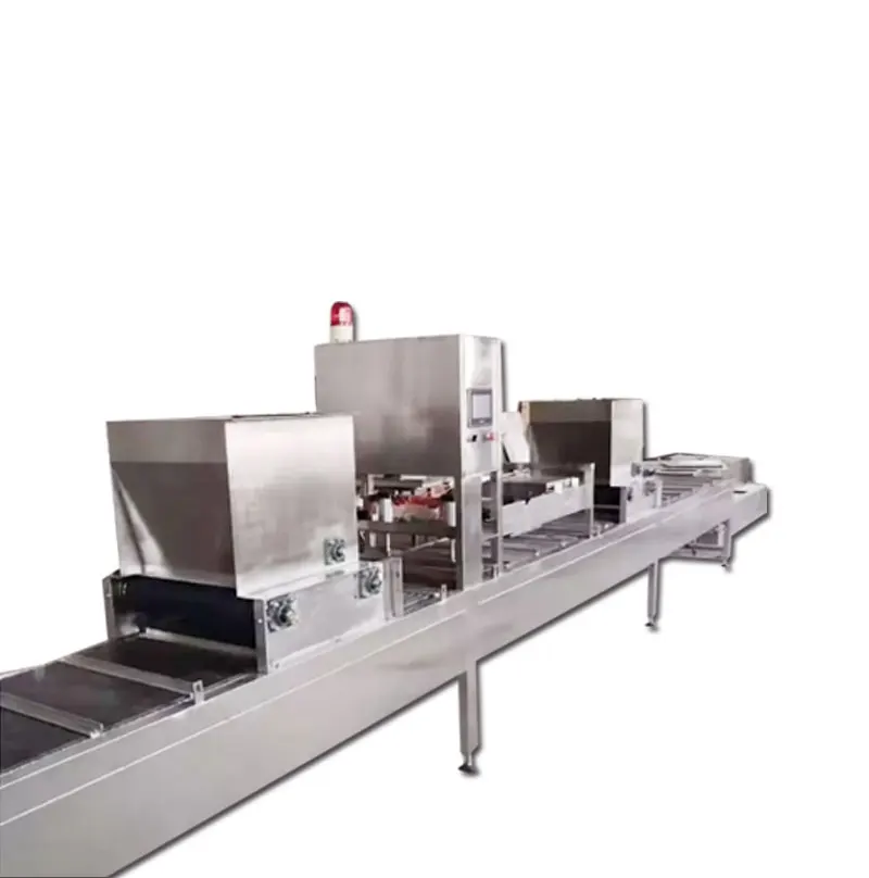 Automatic Seeder Machine Production Line to Plant Leafy Greens and Microgreens Exported US Canada South Africa