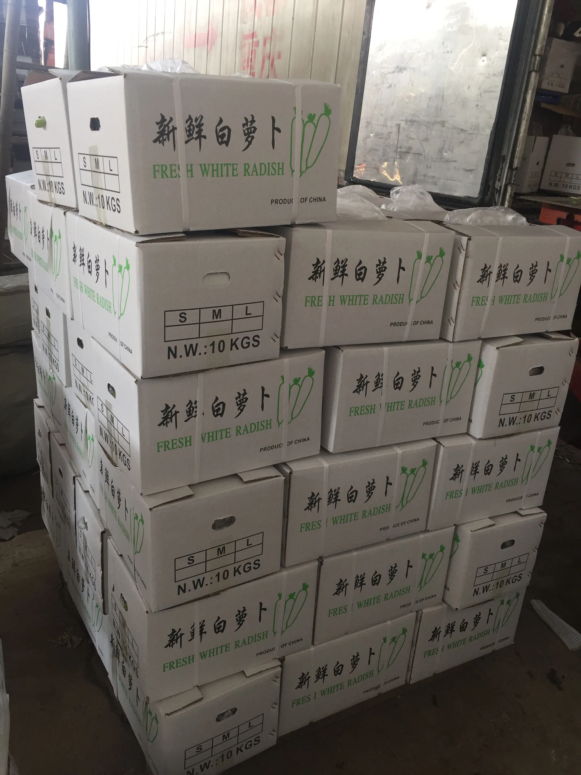 2024 new crop Chinese factory supply Fresh organic vegetables Radish White Green Daikon fruit radish and seeds prices from China