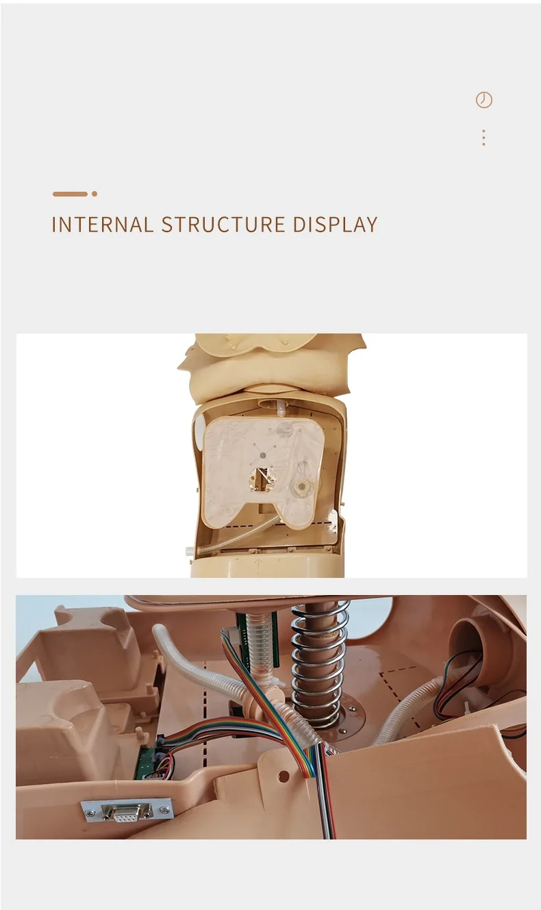 Professional Medical Science children Size Cpr Manikins Training Cardiopulmonary Resuscitation Simul CPR Training Manikin