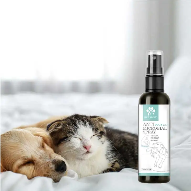 High Quality No Animal Testing Pet Anti Bacterial Dry Spray Best Price