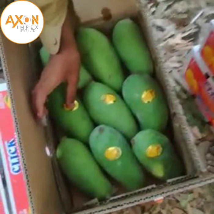 
pakistani mango/ Fresh Mango Exporter from Pakistan 