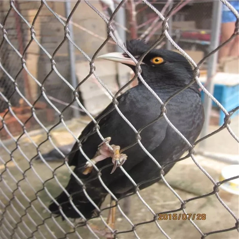 Воздушная проволочная сетка Macaw/сетчатые панели для птичьих птиц/сетка вольера из нержавеющей