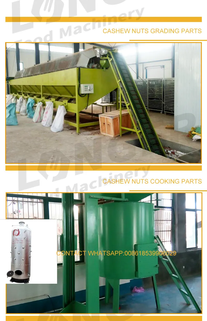 
Automatic Unit Nigeria Cashew Nuts Shelling and Processing Machine Thailand 