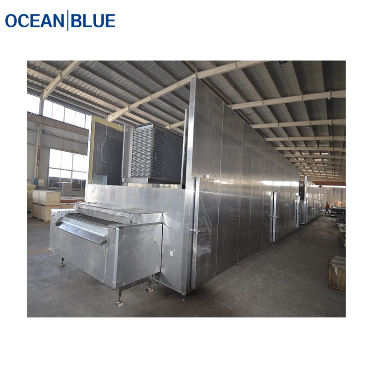 Fish and Meat IQF  Industrial Freezing Equipment