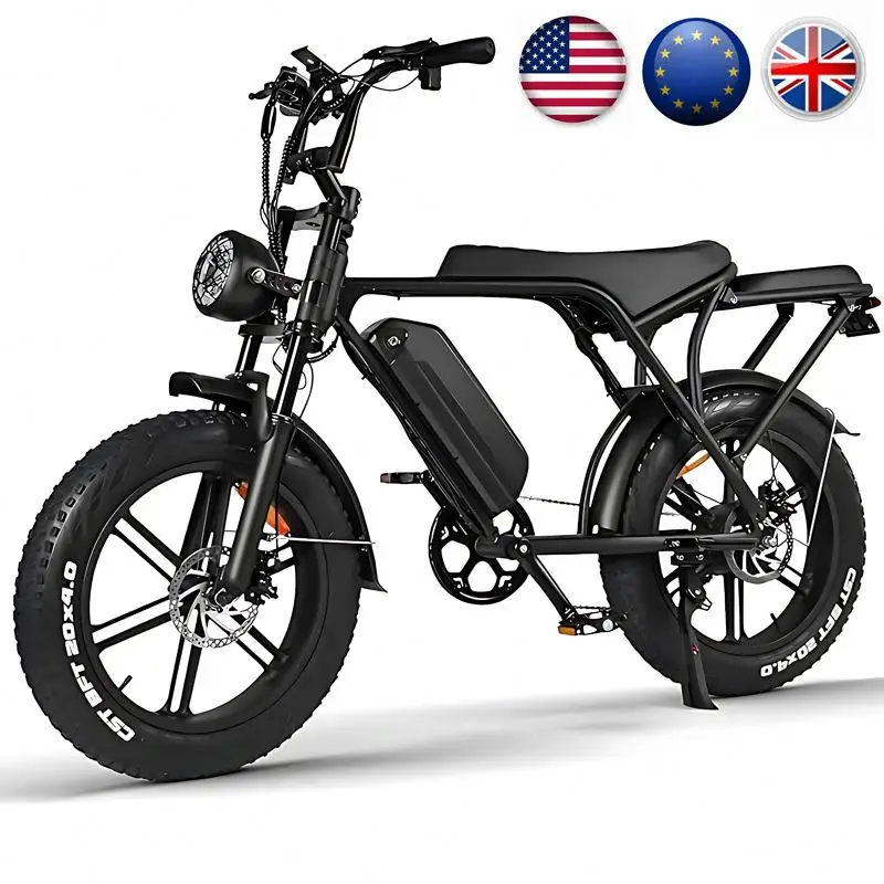 Smart E-bike 26x4.0 mountain  down battery 250W ebike EU in stock hot sale Motor Chain Drive Electric