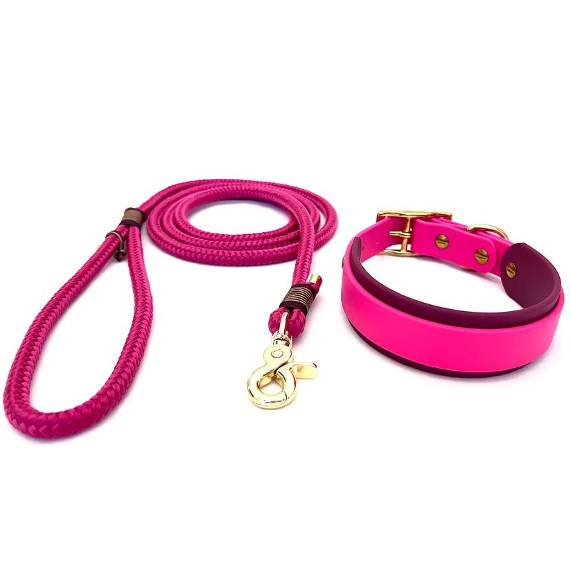Собачий ошейник с поводком из ПВХ, индивидуальные цвета, экологически чистый водонепроницаемый собачий ошейник и поводок