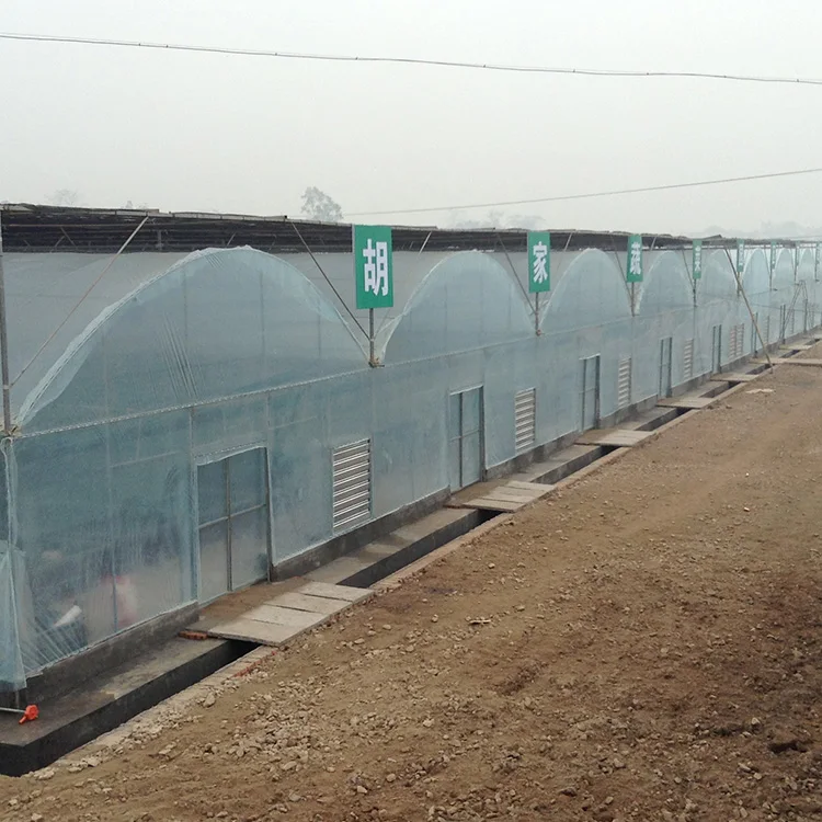 Automatic Multi Arch Multi-span Agricultural Greenhouses With Hydroponics Equipment Greenhouses