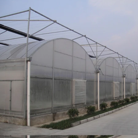 Worth buy multi span polytunnel greenhouse for sale