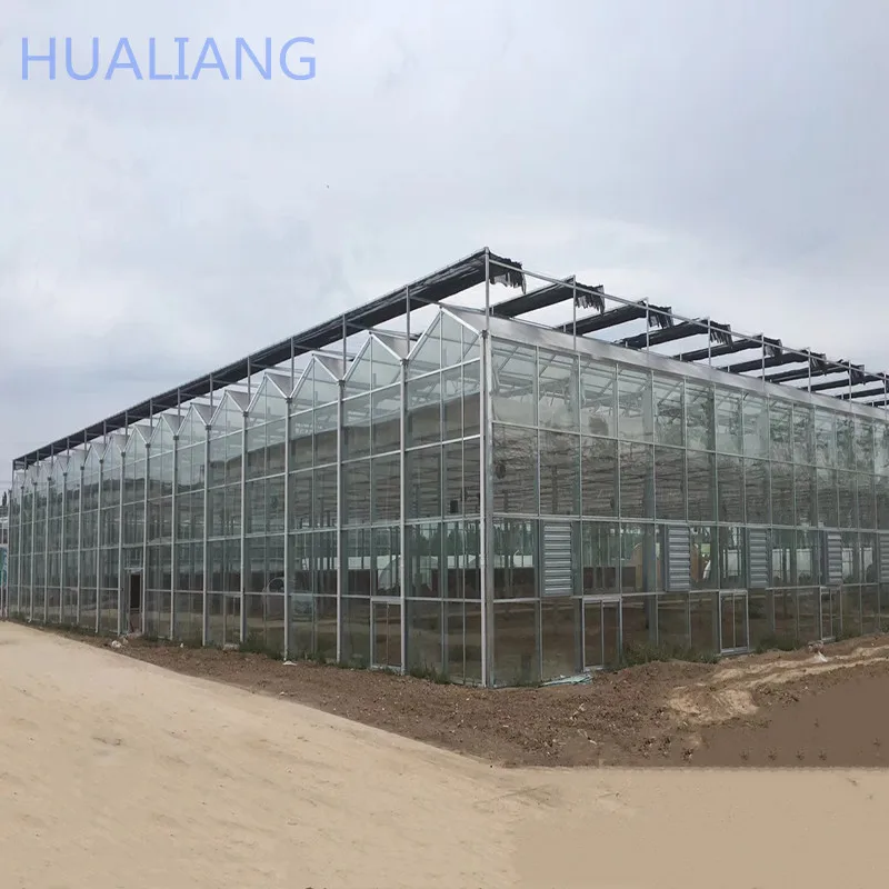Hualiang prefabricated venlo glass garden greenhouse