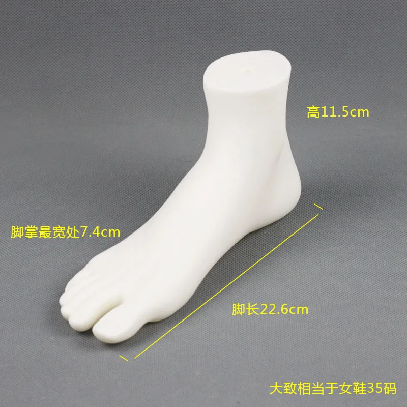 Transparent Sock Display Foot Mannequin For Shoes,Clear Plastic Magnets Male Female Feet Ankle Mannequin