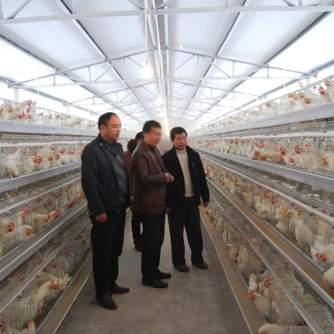 Сельское хозяйство стальная конструкция птицефабрики курица кур-несушек