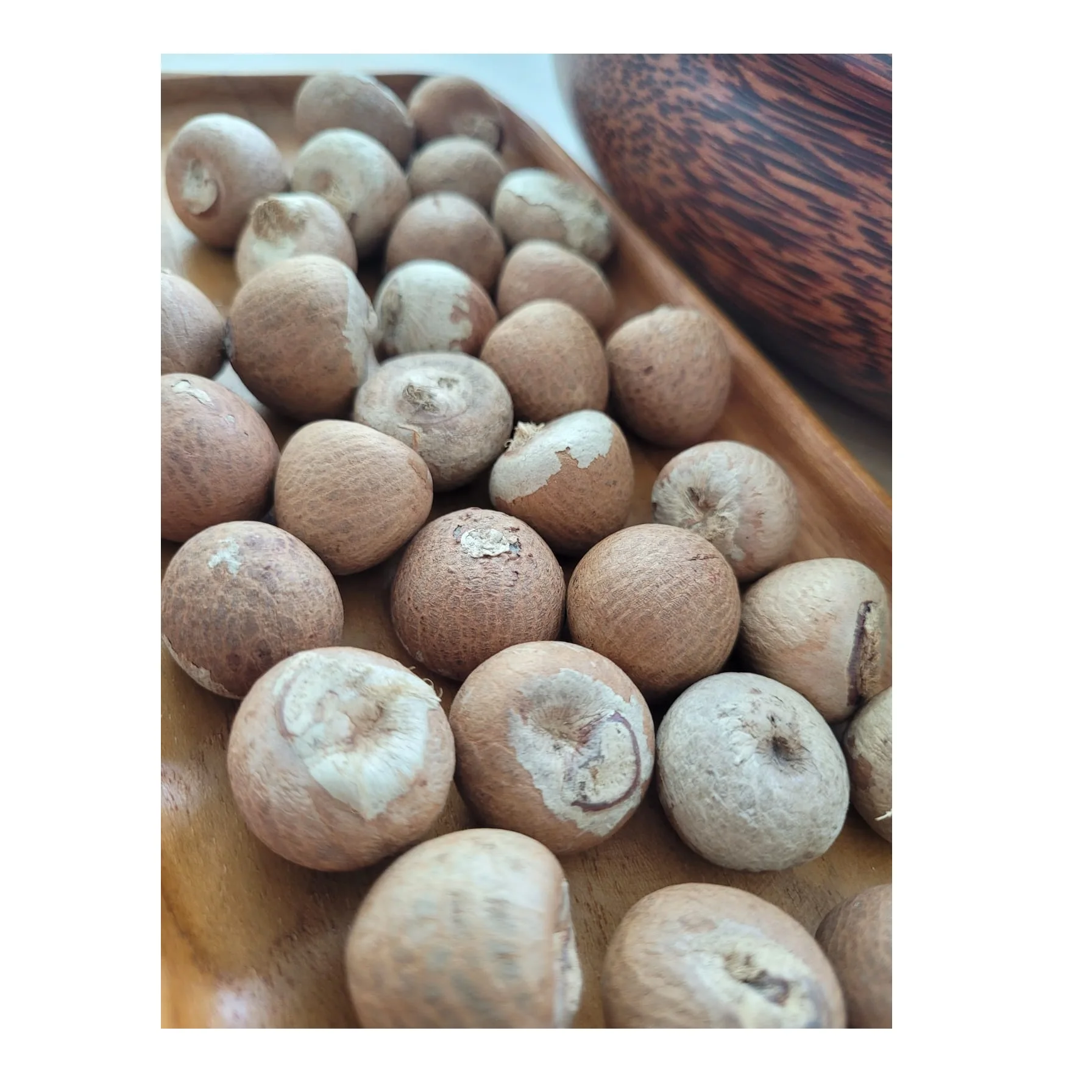 Export Quality Brown Color Dried Betel Nut Hot Sale Premium Grade Of Betel Nut Supply Best Selling 100 % Natural Betel Nut