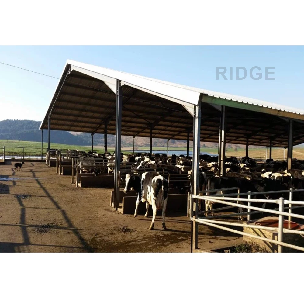Livestock shelter dairy farm shed  Prefabricated Sheep Goat Farming Sheds Design Goat House Farm Sheds for live cattle