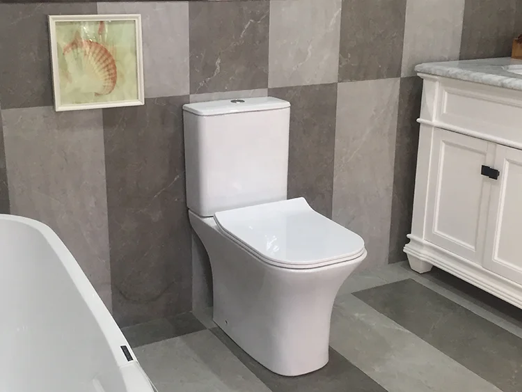 Sanitary Ware Ceramic WC Washdown P-Trap Toilet Closestool