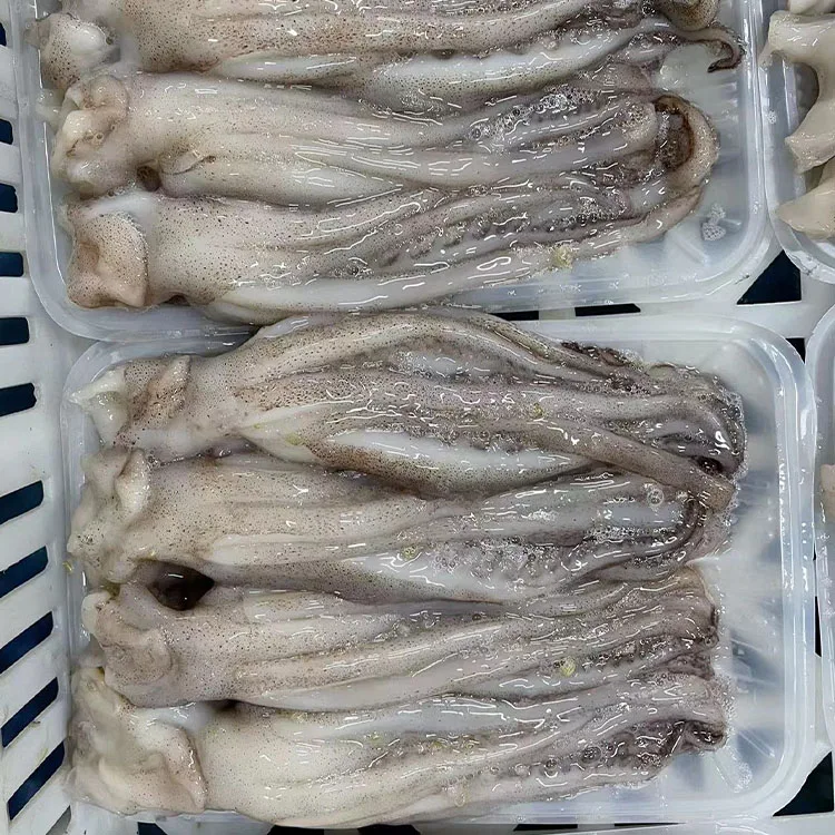 new fresh frozen squid tentacles IQF BQF customizable