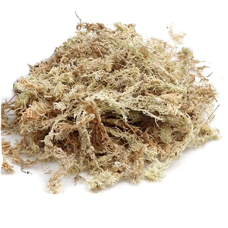 top grade natural dried Sphagnum moss for orchid,climb the pet pavement