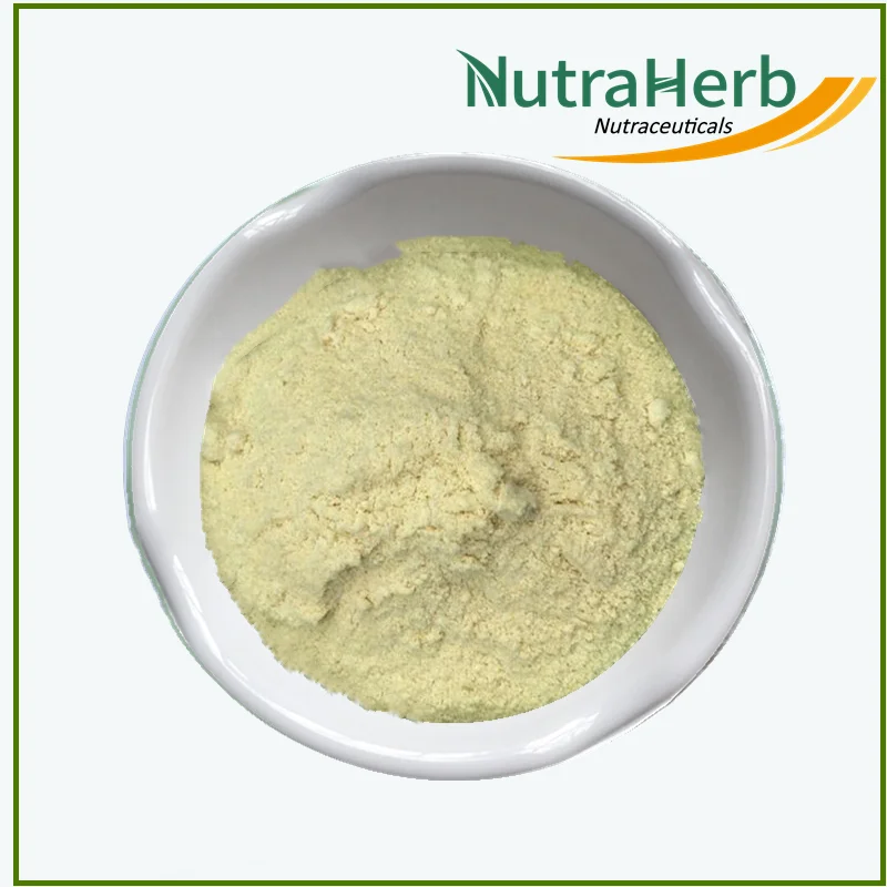 Top Level Soya Lecithin 98% Soybean Lecithin Powder PC 50% 60% 90% Phosphatidylcholine PC