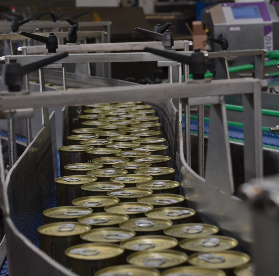 Best Selling Excellent Quality Tasty Appetizer Standard Maturity Orange Stuffed Manzanilla Green Olives