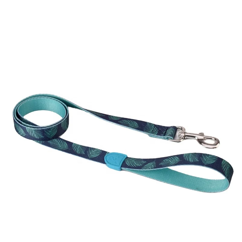 BlackDoggy Designer Custom Polyester Pet Dog Leash Training Lead