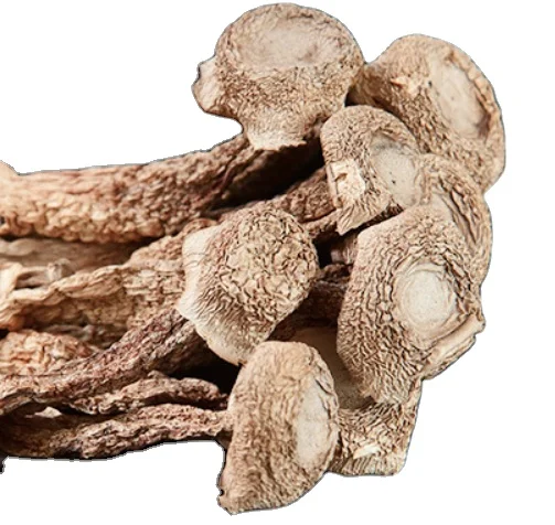 
Premium quality new dried raw loose Lyophyllum decastes mushroom 